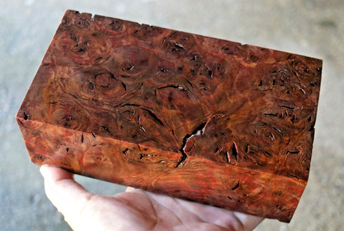 Protium serratum burl wood - serratum,