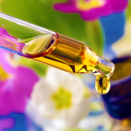Copal oil 10ml protium - copal,